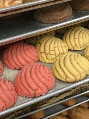 Conchas & pan dulce (sweet bread)