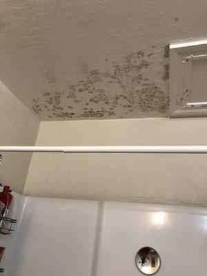 Ceiling in bathroom second time