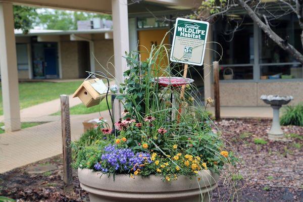 Butterfly habitat donation to R. Brown McAllister STEM Elementary  #SubaruLovesTheEarth