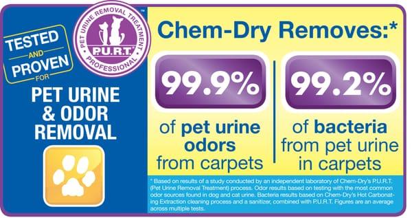 Pet Odor Removal Study