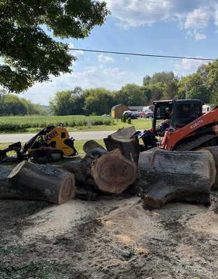 Randleman's Tree Service