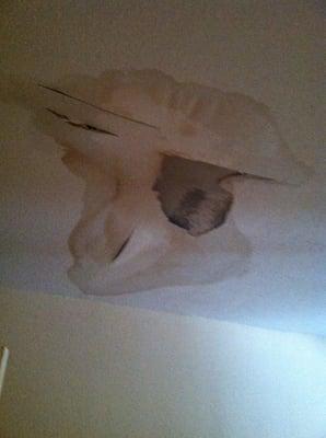 This is what happened to our ceiling after rain, which took two weeks to fix meanwhile, we lived in our living room with our small baby