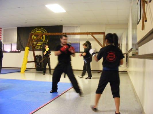 Professional Martial Arts Academy