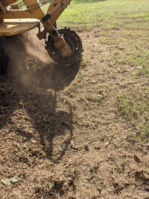 Stump Grinding area around Tree roots...