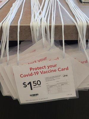 Vaccine card protector