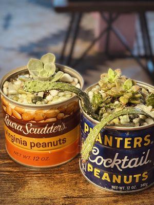 plants in cans