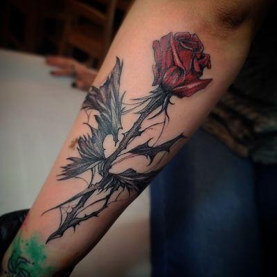 Rose by Farid