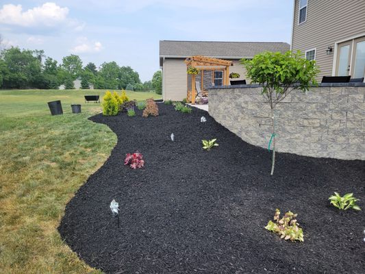 Planting shrubs and mulching, professional design