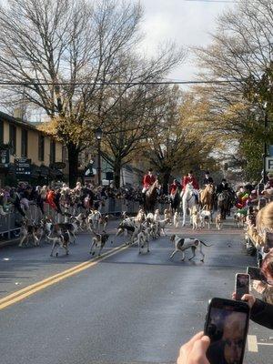 Town of Middleburg