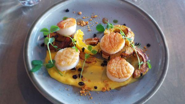 Amazing scallops