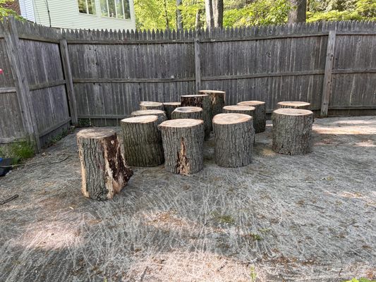 The logs that my husband requested as seating for our camp fires.