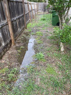 Standing water after a light rain (it got much worse than this).