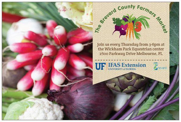 Join us for the best local, seasonal produce Brevard has to offer every Thursday from 3-6pm at the Wickham Park Equestrian center!