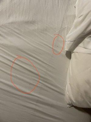 Stained bedsheets