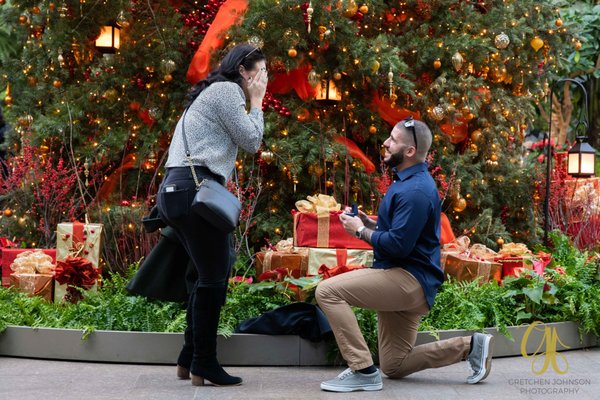 Engagement Proposal at Longwood Gardens