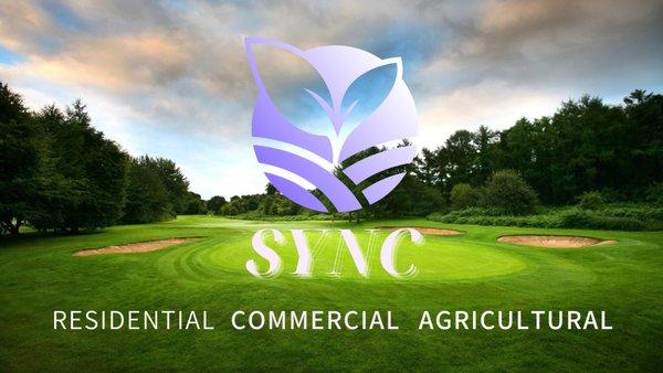 Sync Pest Management