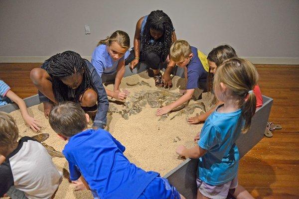 The Museum - Uncovering Dinosaur Bones in the Dinosaur Discovery Exhibit