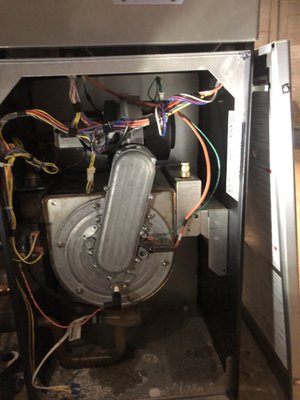 Burnham Alpine boiler fall service. This customer won't get stuck with no heat in the winter