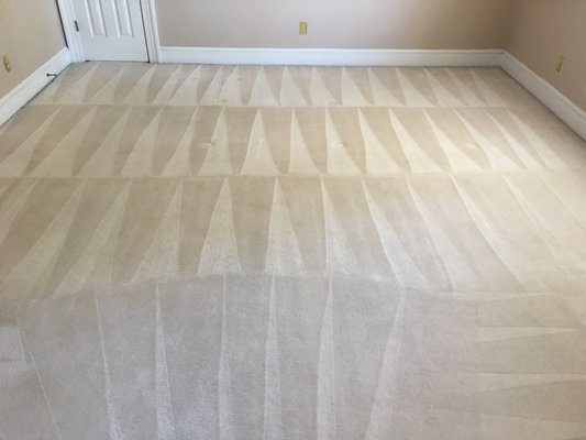 Such a great job, carpet came back as good as new.