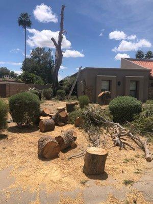 Capital Landscaping And Tree Removal Service