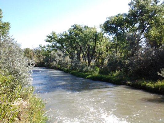 The Uncompahgre River trail will make the city life disappear without leaving home.