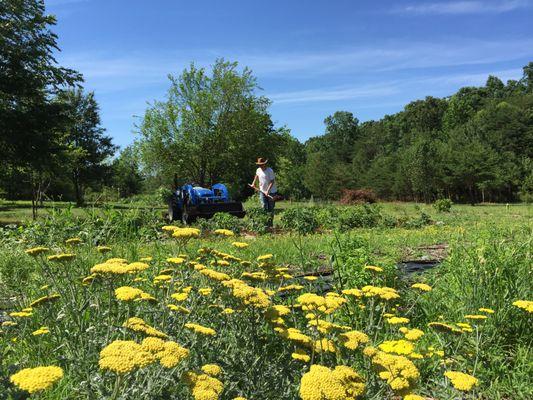 Garden to Glass-tour the farm to learn about our botanical bliss in every taste.