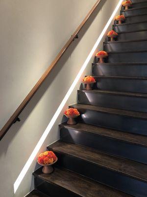 The stairs