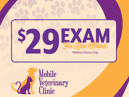 We proudly offer a $29 first exam to all new clients for routine visits! We look forward to meeting you and your pets.