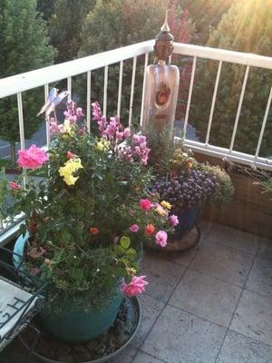 Balcony gardening