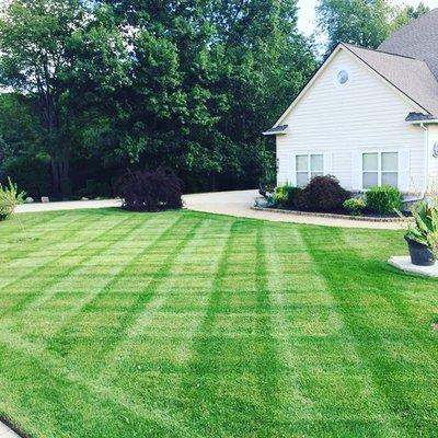 Lawn In Davisburg. Lines are important for curb appeal.