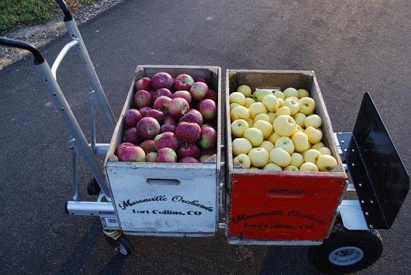 apples for sale at farmers markets around colorado