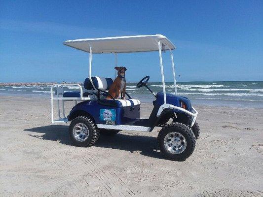 Max at the beach