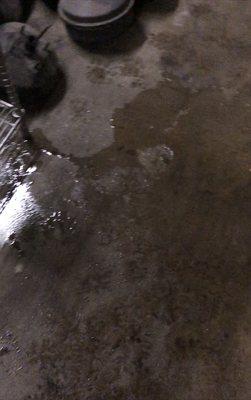 The wet floor from the roof leak