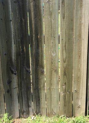 Wood Fence Cleaning