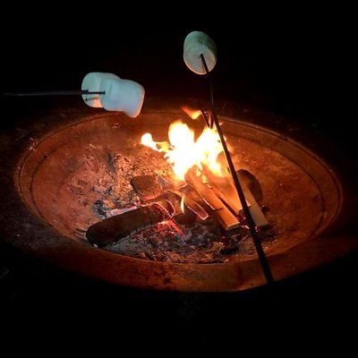 Each site had a wood burning firepit. We bought wood from the KOA for $8 and then borrowed a hatchet to make smaller pieces.