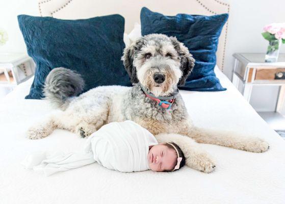 Newborn baby with family pet.