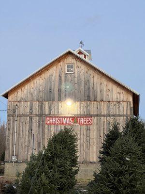 Howard Tree Farm