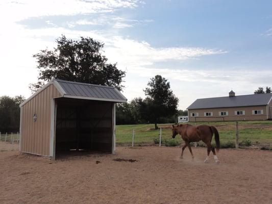 Horses enjoy daily turnout, a customized training program, memory foam stall mattresses, and large outdoor arenas and fields.