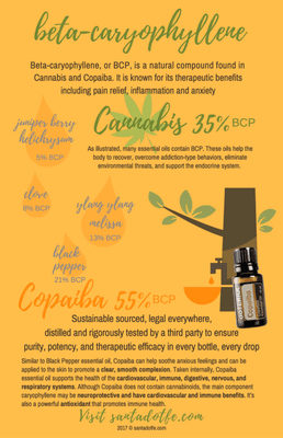 Copaiba at 55% v Cannabis at 35% BCP