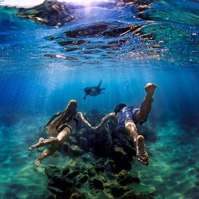 Lisa Putnam Photography - underwater couples portraits. Oahu engagement photography. Oahu Wedding Photography Lisa Putnam Phitography