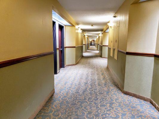 Hallway at Holiday Inn Express Fenton