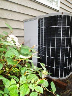 Clear space around condenser units in  Springfield, OH