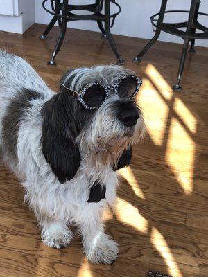 Leo posing with my new wooden sunglasses from Mareki!