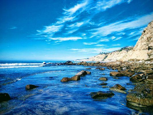 Scripps Coastal Reserve