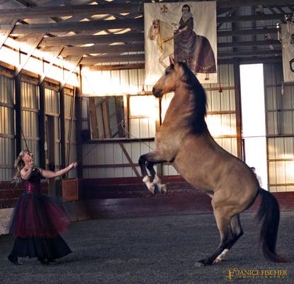 Jill McCrae performing with her beautiful Lusitano Quebec