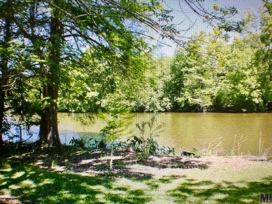 Beautiful bayou frontage