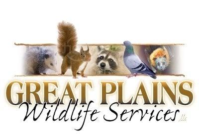 Great Plains Wildlife and Pest Control Services