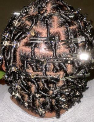 Starter Locs