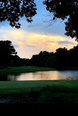 Pond view from our member's patio.