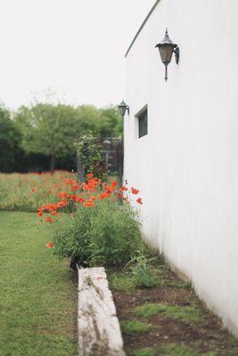 #castrovillepoppyhouse So many backdrop options! You could be here!